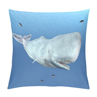 Personality  Sperm Whale Pillow Covers