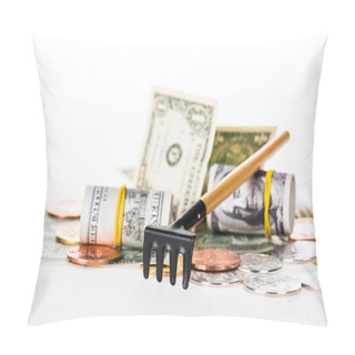 Personality  Close-up View Of Rakes, Coins And Dollar Banknotes Isolated On White Pillow Covers