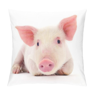 Personality  Pig On White Pillow Covers