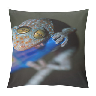 Personality  Closeup Of Gecko With Three Eyes Pillow Covers