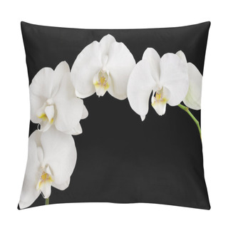 Personality  White Orchid Isolated On Black Pillow Covers