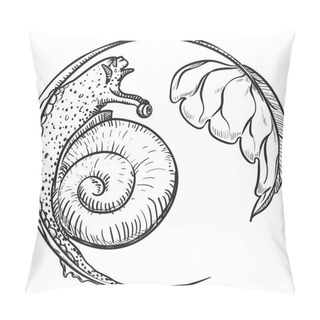 Personality  Snail With Shell, Crawling In A Stem With Crescent Moon Shape, Hungry For Fresh Leaf. Pillow Covers