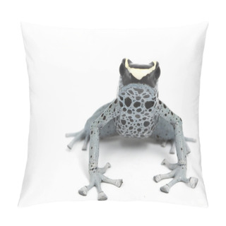 Personality  Powder Blue Dyeing Poison Dart Frog Pillow Covers