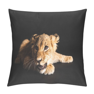 Personality  Adorable Lion Cub Lying Isolated On Black Pillow Covers