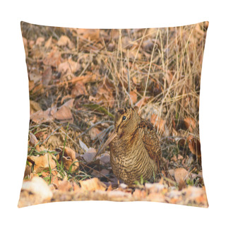 Personality  Woodcock. Snow And Dry Leaves Background. Bird: Eurasian Woodcock. Scolopax Rusticola. Pillow Covers