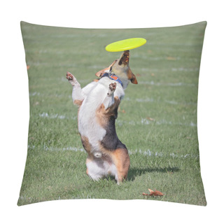 Personality  Dog Having Fun At A Public Park  Pillow Covers