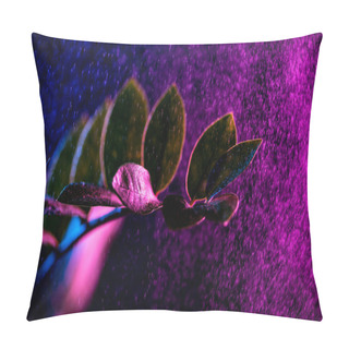 Personality  Zanzibar Gem Houseplant With Pink Drops, On Black Pillow Covers