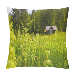 Personality  Closeup Of Wild Carpathians Vegetation On The Field In Front Of  Pillow Covers