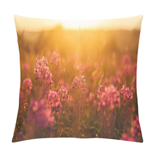 Personality  Blooming Sally In Sunlight In The Evening Pillow Covers