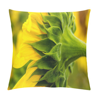 Personality  Sunflower Field In Bloom Pillow Covers