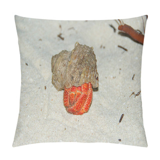 Personality  Strawberry Land Hermit Crab (Coenobita Perlatus) On Sand. Pillow Covers