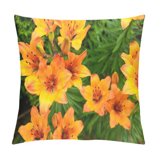 Personality  Orange Lily On A Background Of Green Leaves Pillow Covers