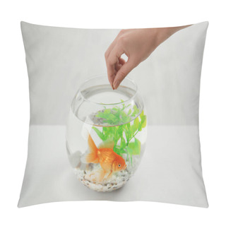 Personality  Woman Feeding Beautiful Goldfish At Table, Closeup Pillow Covers