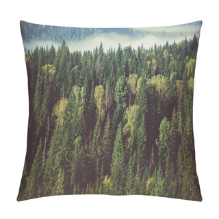 Personality  Thick Morning Mist In Coniferous Forest. Coniferous Trees, Thickets Of Green Forest. Pillow Covers