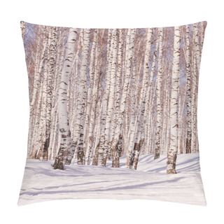 Personality  Winter Birch Forest Pillow Covers