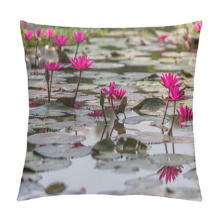 Personality  Water Lilies In Mekong Delta Pillow Covers