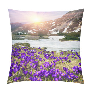 Personality  Spring Flowers Crocuses Pillow Covers