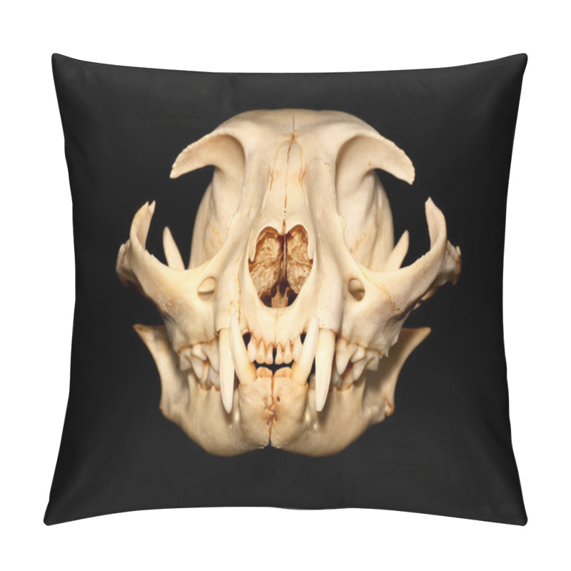 Personality  Cat skull pillow covers