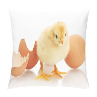 Personality  Beautiful Little Chicken, Egg And Eggshell Isolated On The White Pillow Covers