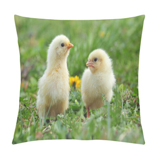 Personality  Two Young Chickens Pillow Covers