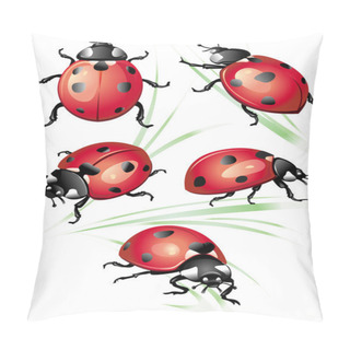Personality  Set Of Ladybird Pillow Covers