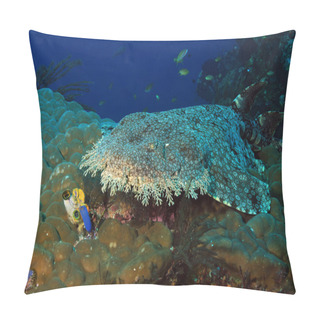Personality  Tasselled Wobbegong On Coral Reef Pillow Covers