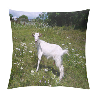 Personality  White Nanny Goat Pillow Covers