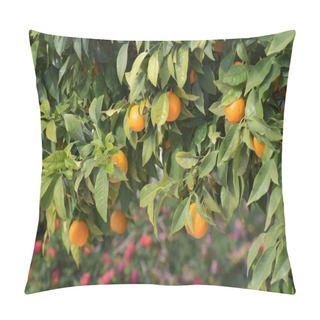 Personality  Close Up Of Mandarins On Tree Branches Pillow Covers