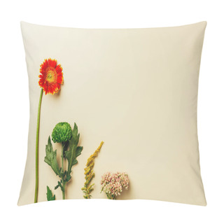 Personality  Top View Of Beautiful Wildflowers Arranged On Beige Background Pillow Covers