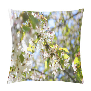 Personality  Close-up Of The Flowers In Bloom During Springtime. Midland Hawthorn (Crataegus Laevigata). Pillow Covers