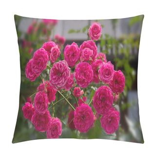 Personality  Red Roses Pillow Covers