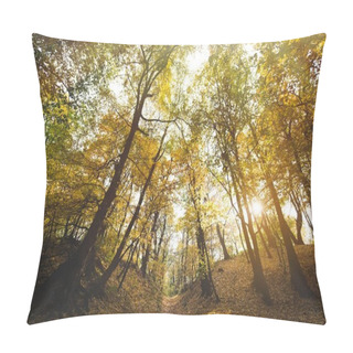 Personality  Beautiful Autumn Park  Pillow Covers