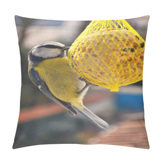 Personality  A Blue Tit Pillow Covers