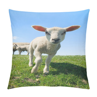 Personality  Curious Lambs In Spring Pillow Covers