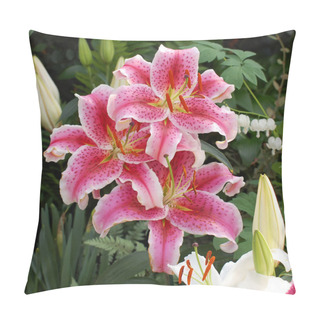 Personality Three Daylilies In Garden Pillow Covers