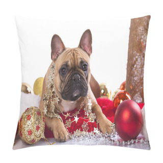 Personality  French Bulldog Pillow Covers