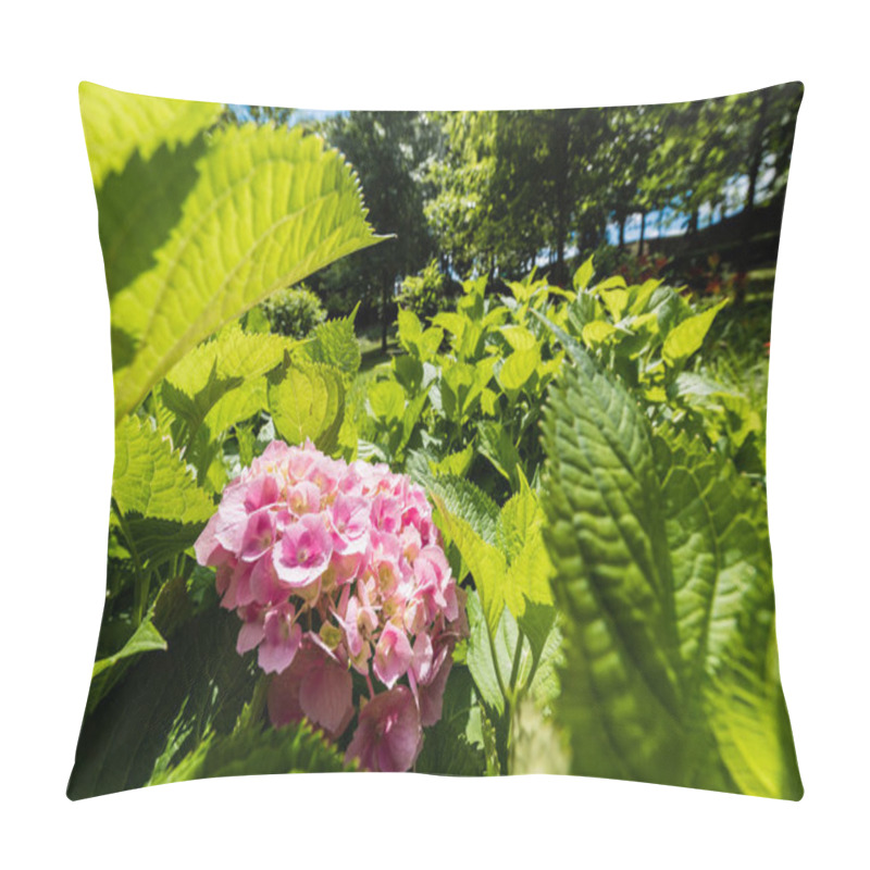 Personality  selective focus of pink blooming flowers near green leaves in park  pillow covers