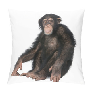 Personality  Young Chimpanzee - Simia Troglodytes (5 Years Old) Pillow Covers