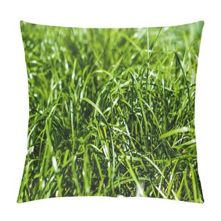 Personality  Green Pillow Covers