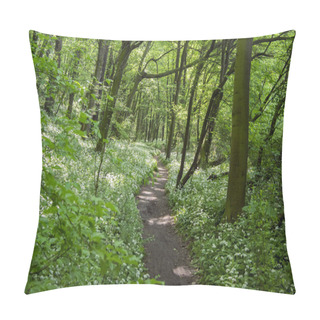 Personality  Nemosicka Stran, Hornbeam Forest, Interesting Magic Nature Place Full Of Blooming Wild Bear Garlic, Path Throw The Forest, Sunny Pillow Covers