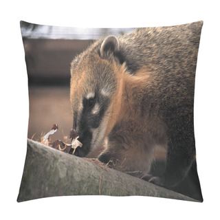 Personality  Nosuh Looking For Something At The Leaves Pillow Covers