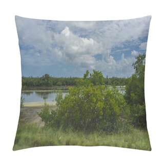Personality  Caribbean Landscape In Summer Pillow Covers