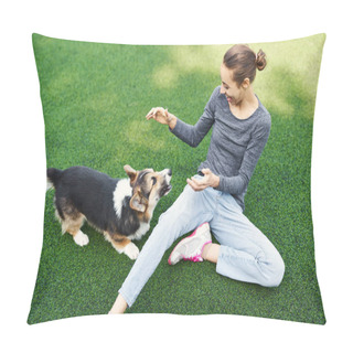 Personality  Funny Welsh Corgi Dog And Smiling Happy Woman Sitting On Grass And Playing Outdoors, Spending Time Together. Concept Friendship With Dog And Human, Dog Walking Pillow Covers