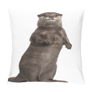 Personality  Oriental Small-clawed Otter, Amblonyx Cinereus, 5 Years Old, Sta Pillow Covers
