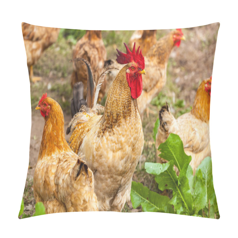 Personality  rooster and hen in the village pillow covers