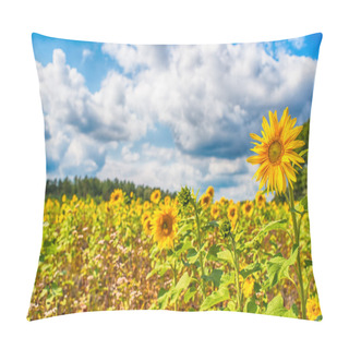 Personality  Close-up Of Sun Flower Against A Blue Sky  Pillow Covers