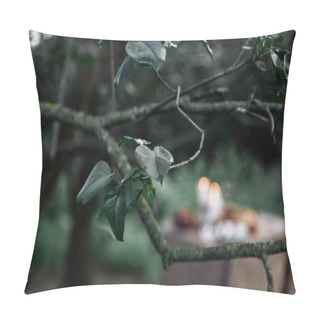 Personality  Green Leaves On Tree Branch With Blurred Table On Background In Garden Pillow Covers