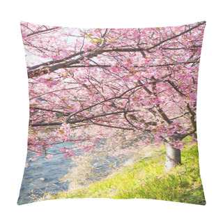 Personality  Blooming Sakura Trees Along River Pillow Covers