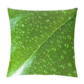 Personality  Close Up View Of Green Leaf With Water Drops  Pillow Covers