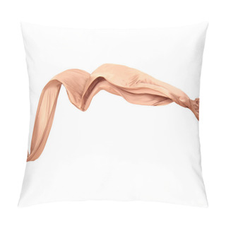 Personality  Smooth Elegant Brown Satin Pillow Covers